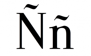 N1 (1)