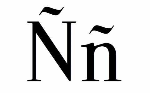 N1 (1)