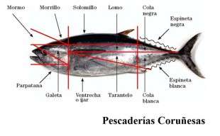 Ronqueo
