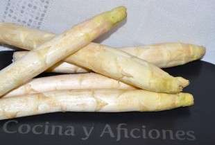 esparragos blancos (6)