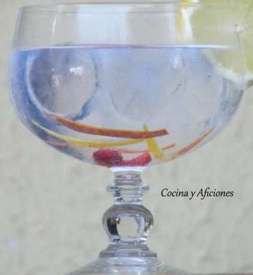gin tonic perfecto 
