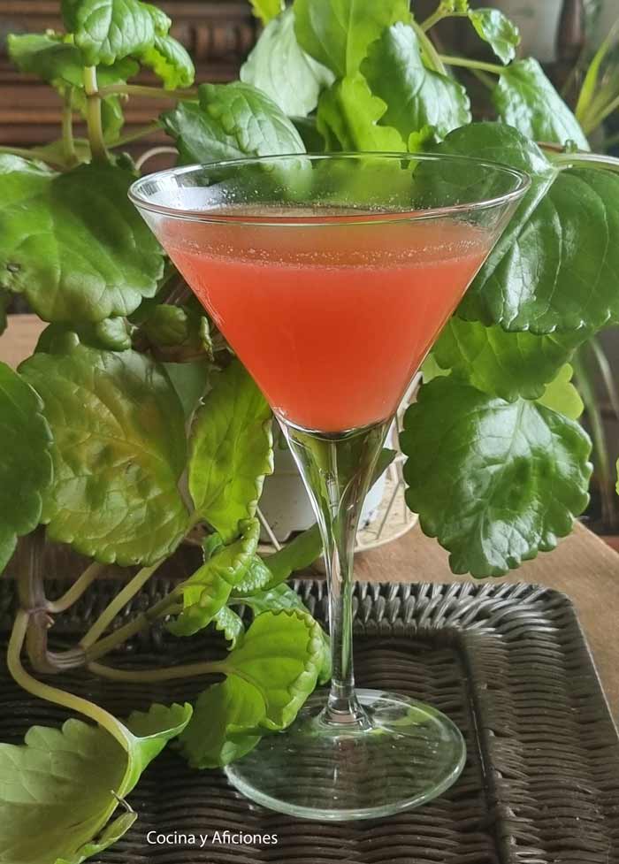 Bloody Mary de agua de tomate