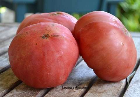 tomates rosas ok