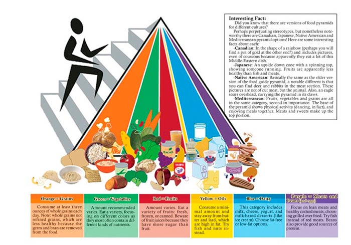 pirámide-alimenticia-fue-elaborada-por-The-Center-for-Nutrition-Policy-and-Promotion
