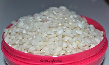 el arroz: introducción, historia y características