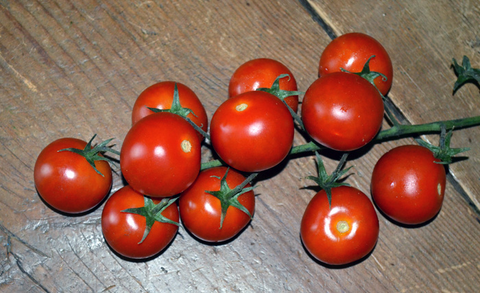 + tomate cherry