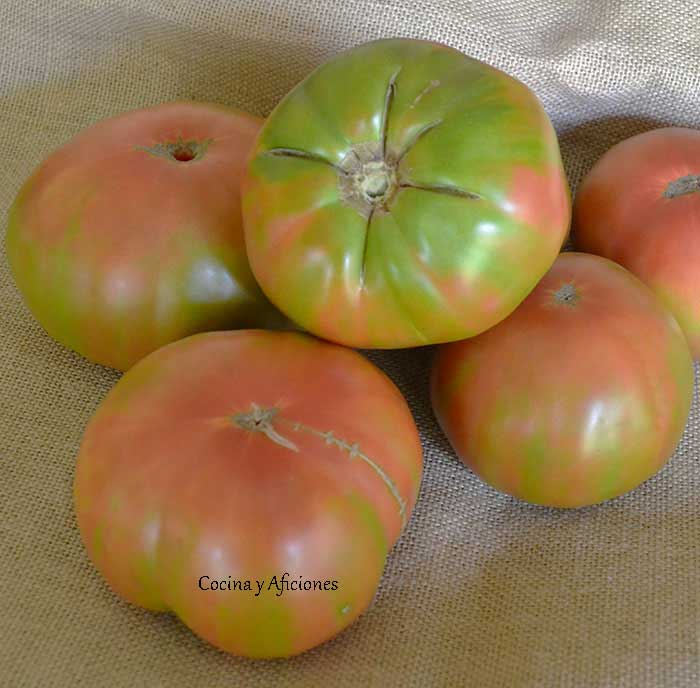 tomates-ebroVerde