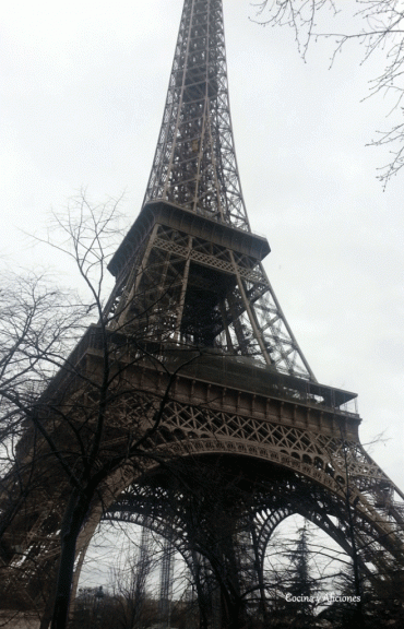 Mis recuerdos de París,  #TodosSomosParis