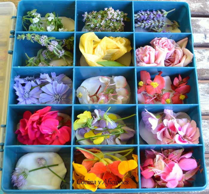 Decálogo floral, la guia perfecta para utilizar las flores en la cocina con  éxito garantizado - Cocina y Aficiones