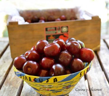 Picota del Jerte, la fruta de la primavera, apuntes