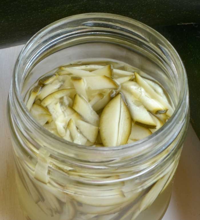 Fermentados y encurtidos, apuntes y recetas. - Cocina y Aficiones Fermentados y encurtidos, apuntes y recetas. - Cocina y Aficiones