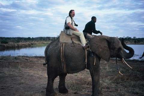Rafa el un elefante en Zimbabue