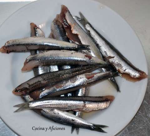 anchoas frescas