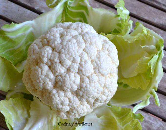 coliflor (1)